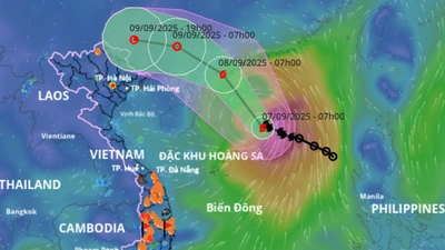 Bão số 7 ít dịch chuyển, có thể giật cực đại cấp 13