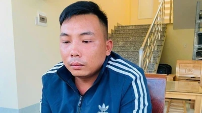 Bắt đối tượng thuê bóng đèn chong thanh long rồi mang đi bán