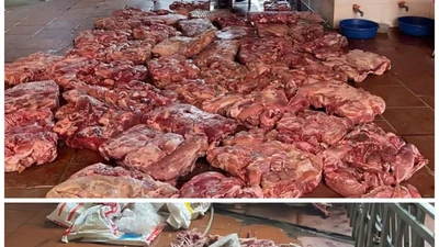 Bắc Ninh phát hiện hai cơ sở kinh doanh thịt lợn thối