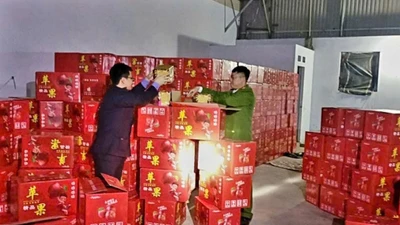 Mua bán hơn 11 tấn pháo hoa nổ, 5 người nhận kết đắng
