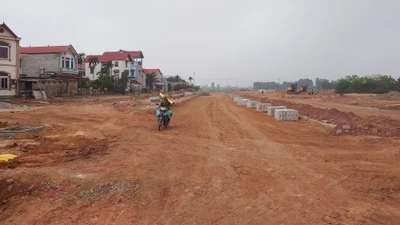 Biết gì BĐS Mai Vàng được giao hơn 1,1ha đất làm khu đô thị?