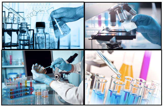 (Ảnh minh họa: FAO) (Ảnh minh họa: FAO)