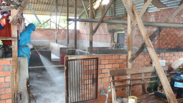 Các lực lượng chức năng phun hóa chất khử trùng, xử lý môi trường chuồng trại chăn nuôi/Ảnh ND Các lực lượng chức năng phun hóa chất khử trùng, xử lý môi trường chuồng trại chăn nuôi/Ảnh ND