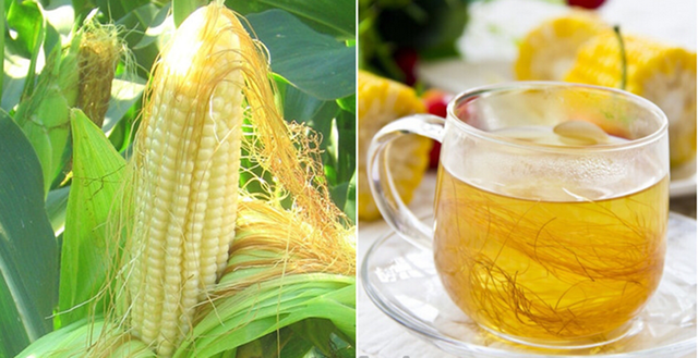 Râu ngô có rất nhiều tác dụng tốt cho cơ thể. Râu ngô có rất nhiều tác dụng tốt cho cơ thể.
