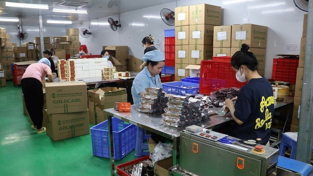 Khu vực đóng gói sản phẩm của Công ty Gold Care./Ảnh nhandan.vn 2.jpg