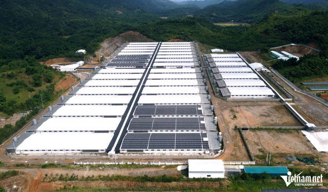 Toàn bộ khu chuồng trại của Cong ty Agri-Vina. Ảnh: Lê Dương 1-3157.jpg