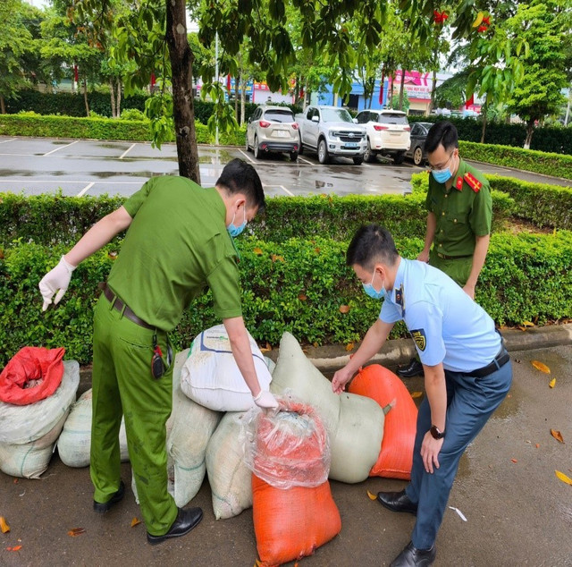 Lực lượng chức năng kiểm tra hàng hoá vi phạm/ Ảnh DMS 1-1382.jpg