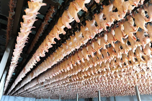 Dây chuyền công nghiệp bên trong Nhà máy chế biến sản phẩm thịt Hà Nội (Ảnh tienphong) Dây chuyền công nghiệp bên trong Nhà máy chế biến sản phẩm thịt Hà Nội (Ảnh tienphong)