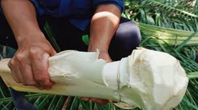 Củ hũ dừa là món ăn yêu thích của người dân miền Tây. Ảnh: Phương Lúa 11-87.jpg