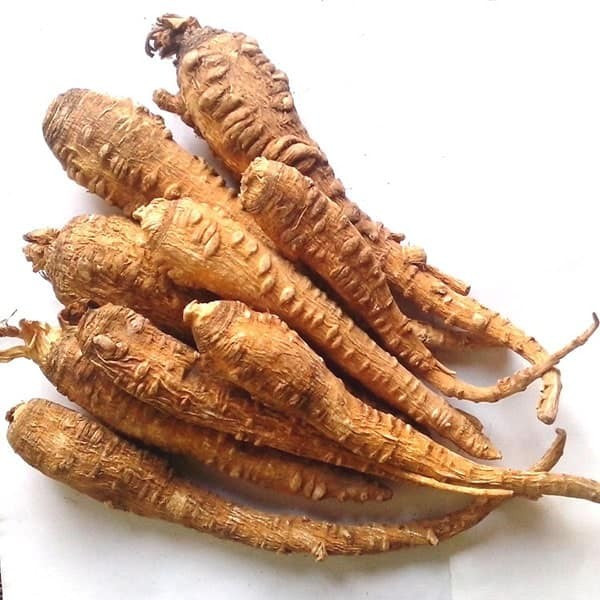 Dược liệu Bạch chỉ tính ấm có công dụng giải cảm, tiêu viêm. Dược liệu Bạch chỉ tính ấm có công dụng giải cảm, tiêu viêm.