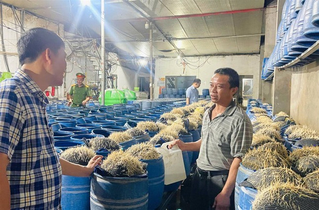 Giá đỗ được sản xuất trong các thùng có thể tích khoảng 15 lít. Ảnh: Tống Huệ Giá đỗ được sản xuất trong các thùng có thể tích khoảng 15 lít. Ảnh: Tống Huệ