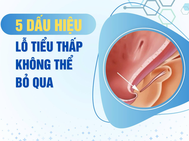 Ảnh minh họa/BV 108 01.jpg