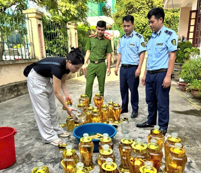 Lực lượng chức năng giám sát việc tiêu hủy tang vật vi phạm Lực lượng chức năng giám sát việc tiêu hủy tang vật vi phạm