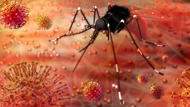 Virus Zika có kích thước nhỏ và thường gây bệnh ở vùng nhiệt đới hay cận nhiệt đới/Ảnh minh hoạ- Internet Virus Zika có kích thước nhỏ và thường gây bệnh ở vùng nhiệt đới hay cận nhiệt đới/Ảnh minh hoạ- Internet