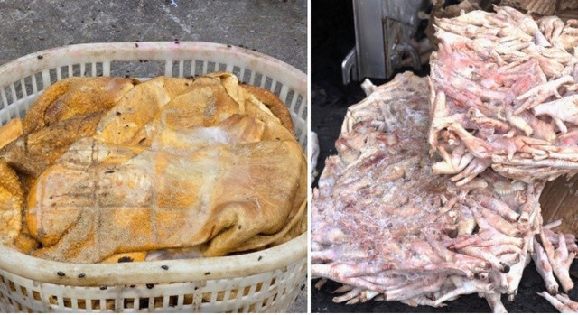 Kho hàng đông lạnh chứa hơn 25 tấn thực phẩm bẩn bốc mùi hôi thối. (Ảnh CAND) 1111.jpg