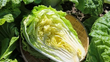 5 thực phẩm 'ăn no vẫn gọn dáng', số 2 nhiều người đang bỏ qua