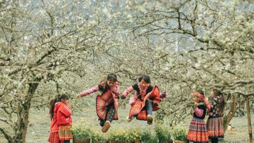 Theo đánh giá của Time Out, Việt Nam không chỉ thu hút ở mùa hè mà còn trở thành điểm đến hấp dẫn vào mùa đông. Ảnh Vietravel