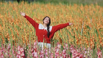 Lỡ mùa Tết, cánh đồng hoa lay ơn bên đèo Mimosa bất ngờ thành điểm sống ảo