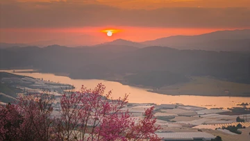 Đến Mộng Đào Nguyên ngắm mai anh đào khoe sắc, chọn đi tour hay tự túc?