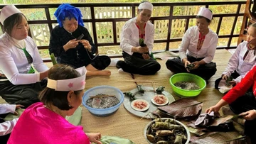 Mường Cúc điểm hẹn đầu năm giữa hồn lúa và tầng mây trắng