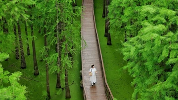 Hồ Thanh Sơn góc xanh bình yên khiến du khách say lòng ở Hàng Châu