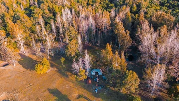 Ảnh Jungle Boss Tours