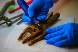 Kinh ngạc phát hiện cây đinh ba kỳ dị 1.700 năm tuổi dưới lòng đất