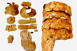 Kỳ tích tìm thấy giáp Hussar thế kỷ 17 trong tình trạng hoàn hảo