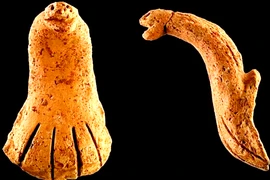 Tay cầm gốm rắn hổ mang 4.000 năm hé lộ điều bí ẩn