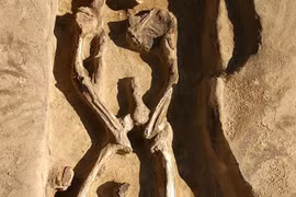 Giật mình thấy hài cốt 1.300 năm với tư thế 'nhảy múa' bí ẩn