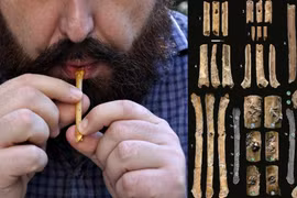 Tìm thấy 7 cây sáo mini 12.000 năm tuổi, chuyên gia sốc nặng