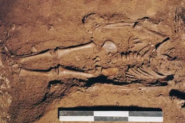 Chấn động phát hiện ADN thổ dân vô danh tồn tại 8.500 năm