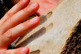 Dấu tay 1.800 năm tuổi hé lộ bí mật nghề gạch cổ