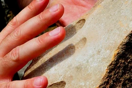 Dấu tay 1.800 năm tuổi hé lộ bí mật nghề gạch cổ