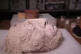 Chân dung đầu tiên của vua Maya Pakal được phát hiện