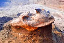 Rùng mình đầu lâu sói trên mộ, trấn yểm linh hồn người chết