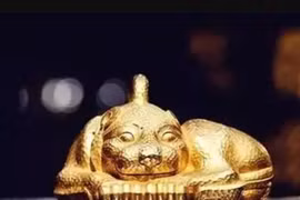 Người nông dân vô tình đào được tượng thú bằng vàng, nặng 9,1 kg