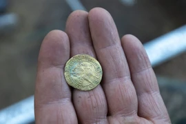 Kho báu 69 đồng tiền xu cổ bỗng trồi lên giữa lớp rêu rừng