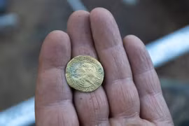 Kho báu 69 đồng tiền xu cổ bỗng trồi lên giữa lớp rêu rừng