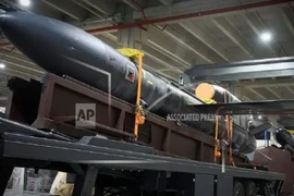 Tên lửa hành trình Flamingo