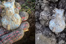 Dò kim loại, phát hiện bình chì cổ hé lộ hành trình tâm linh của người xưa