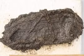 Giày cổ 5.000 tuổi nguyên vẹn khó tin dưới đáy hồ Thụy Sĩ