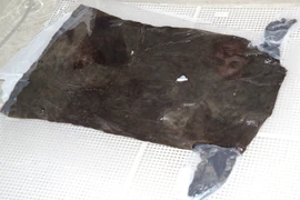 Áo len 1.700 năm tuổi bất ngờ trồi lên, bí mật cổ xưa hé lộ