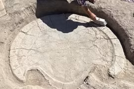 Phát hiện chấn động bàn thờ hình đầu bò cổ xưa cách nay 6.000