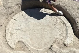 Phát hiện chấn động bàn thờ hình đầu bò cổ xưa cách nay 6.000