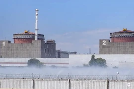 Nhà máy điện hạt nhân bị UAV tập kích, Nga cảnh báo hiểm họa