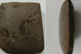 Mảnh vỡ rìu cổ 4.500 năm được phát hiện trong vườn Ba Lan