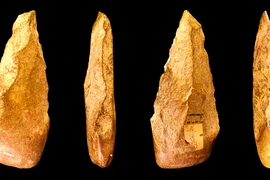 Sự thật chấn động về chất keo kết dính 20.000 năm tuổi 