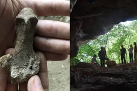 Tượng đất sét 7.000 năm hình thù kỳ dị, chuyên gia nhức đầu giải mã