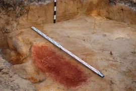 Đất son trong mộ cổ Phần Lan khiến chuyên gia sửng sốt